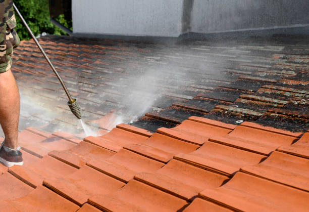 Pressure Washing Services for Businesses in Delcambre, LA